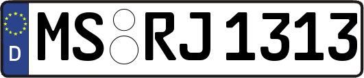MS-RJ1313