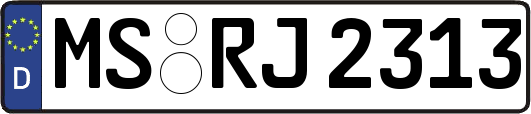 MS-RJ2313