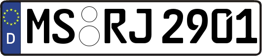 MS-RJ2901