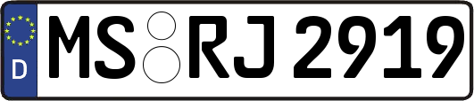 MS-RJ2919