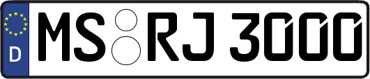 MS-RJ3000