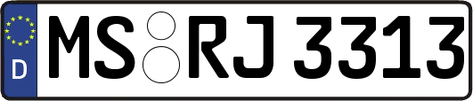 MS-RJ3313