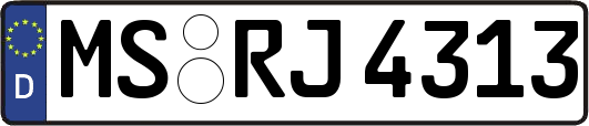 MS-RJ4313