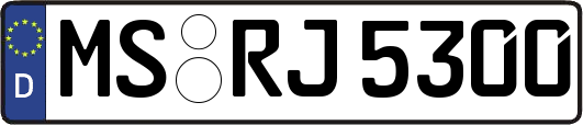 MS-RJ5300