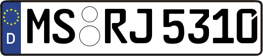 MS-RJ5310