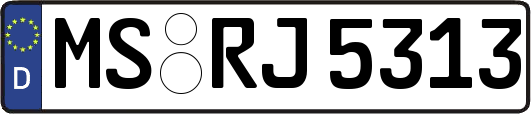 MS-RJ5313
