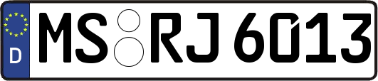 MS-RJ6013