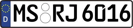 MS-RJ6016