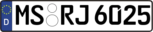 MS-RJ6025