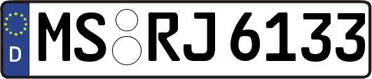 MS-RJ6133