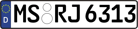 MS-RJ6313