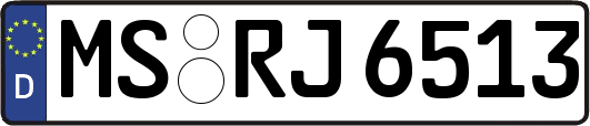MS-RJ6513