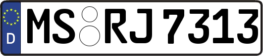 MS-RJ7313