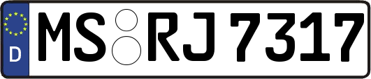 MS-RJ7317