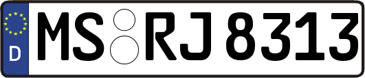 MS-RJ8313