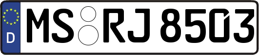 MS-RJ8503