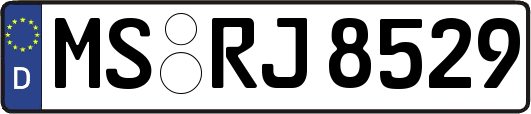 MS-RJ8529