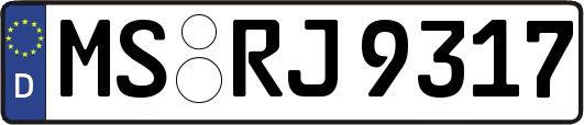 MS-RJ9317