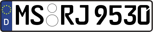 MS-RJ9530