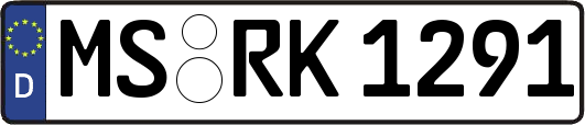 MS-RK1291