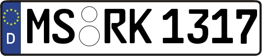 MS-RK1317