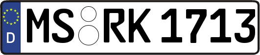 MS-RK1713