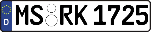 MS-RK1725