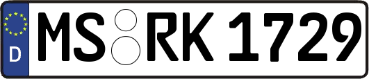 MS-RK1729