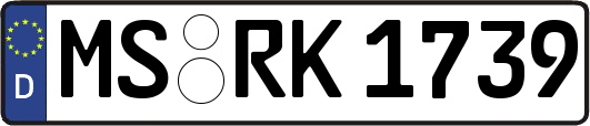 MS-RK1739
