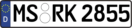 MS-RK2855