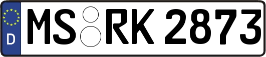 MS-RK2873