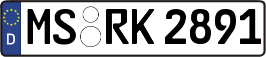 MS-RK2891
