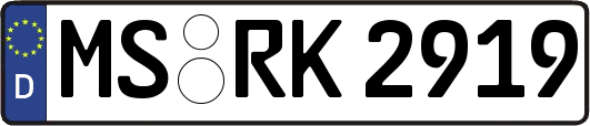 MS-RK2919