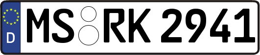 MS-RK2941