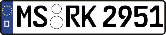 MS-RK2951