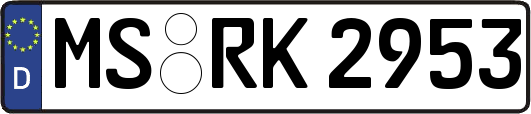 MS-RK2953