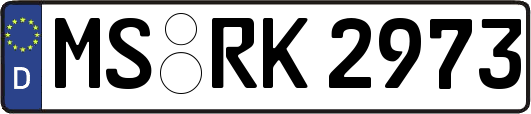 MS-RK2973