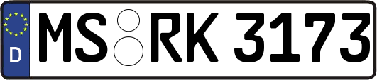 MS-RK3173