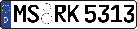 MS-RK5313