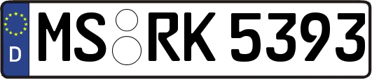 MS-RK5393