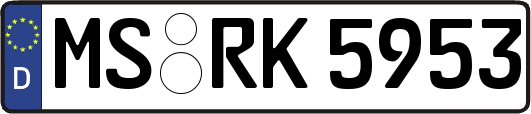 MS-RK5953