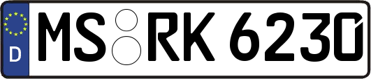 MS-RK6230