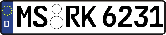 MS-RK6231
