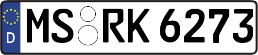 MS-RK6273