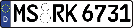 MS-RK6731