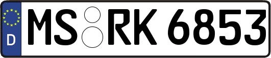 MS-RK6853