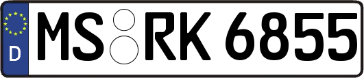 MS-RK6855