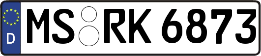 MS-RK6873