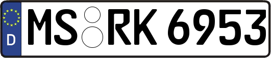 MS-RK6953