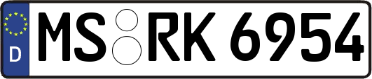 MS-RK6954